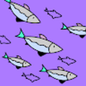 Meet your Posher, Molly